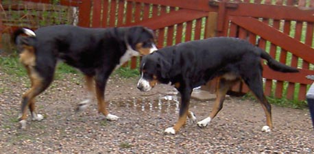 Zta & Greta